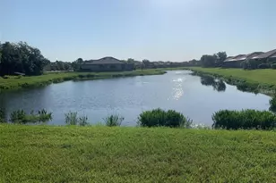 5409 Sunset Falls Dr, Apollo Beach, FL 33572 - Photo 24
