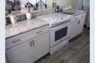 124 Juniperus Drive #45, Safety Harbor, FL 34695 - Photo 4