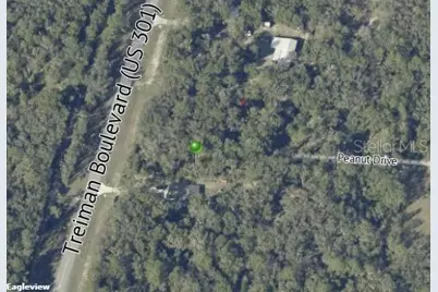7466 Treiman Boulevard, Webster, FL 33597 - Photo 1