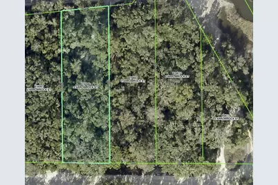 34085 Arrowrock Street, Webster, FL 33597 - Photo 12