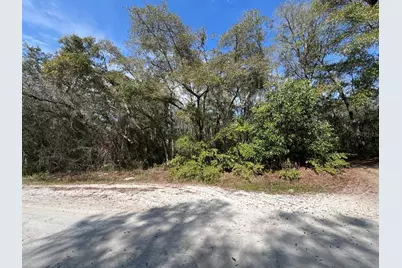 34085 Arrowrock Street, Webster, FL 33597 - Photo 2