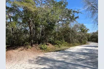 34085 Arrowrock Street, Webster, FL 33597 - Photo 4