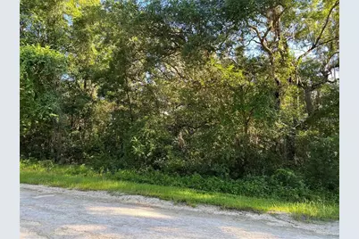 34085 Arrowrock Street, Webster, FL 33597 - Photo 1