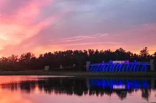 32451 Welling Blade Loop, Wesley Chapel, FL 33545 - Photo 34