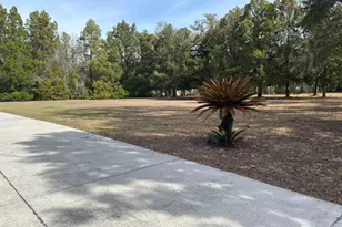 3049 W Laurel St, Lecanto, FL 34461 - Photo 68