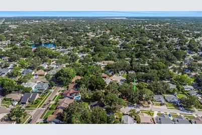 2761 Cactus Hill Place, Palm Harbor, FL 34684 - Photo 22