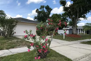 5205 Ripple Creek Dr, Tampa, FL 33625 - Photo 2