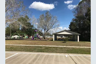 5205 Ripple Creek Drive, Tampa, FL 33625 - Photo 60