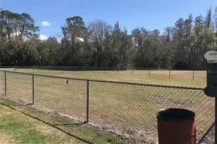 5205 Ripple Creek Dr, Tampa, FL 33625 - Photo 50