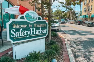 2941C Shore Dr, Safety Harbor, FL 34695 - Photo 10