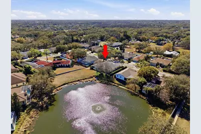 2406 Dana Drive, Safety Harbor, FL 34695 - Photo 54