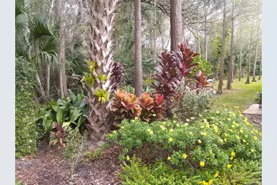 13812 Mill Cove Circle #13812, Tampa, FL 33618 - Photo 52