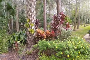 13812 Mill Cove Cir, Tampa, FL 33618 - Photo 52