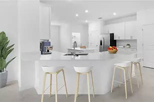 17807 Cane Patch Ct, Parrish, FL 34219 - Photo 4