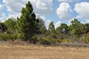 524 Columbus Blvd S, Lehigh Acres, FL 33974 - Photo 1