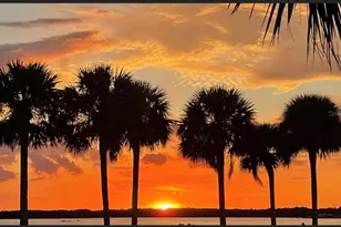 920 Virginia St, Dunedin, FL 34698 - Photo 24