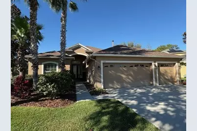 3347 Diamond Falls Circle, Land O Lakes, FL 34638 - Photo 1