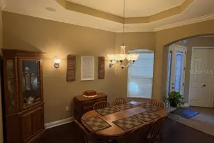 3347 Diamond Falls Cir, Land O Lakes, FL 34638 - Photo 8