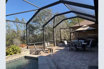 3347 Diamond Falls Circle, Land O Lakes, FL 34638 - Photo 20