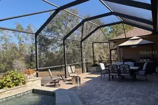 3347 Diamond Falls Cir, Land O Lakes, FL 34638 - Photo 20