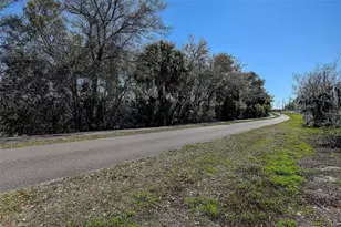 201 South St, Palm Harbor, FL 34683 - Photo 42