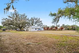 6305 Jim Davis Rd, Parrish, FL 34219 - Photo 4