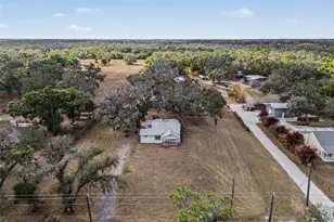 6305 Jim Davis Rd, Parrish, FL 34219 - Photo 40