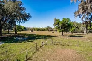6305 Jim Davis Rd, Parrish, FL 34219 - Photo 4