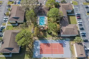 616 Golden Raintree Pl, Brandon, FL 33510 - Photo 38