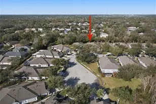 6057 Sandhill Ridge Dr, Lithia, FL 33547 - Photo 56