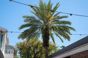 435 S Oregon Ave, Tampa, FL 33606 - Photo 68