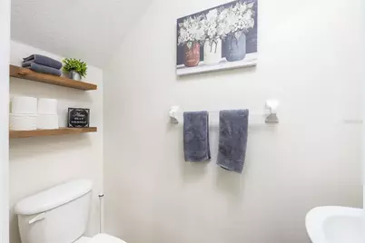 11231 Windsor Place Circle, Tampa, FL 33626 - Photo 12