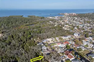 55 Gulfwinds Dr, Palm Harbor, FL 34683 - Photo 32