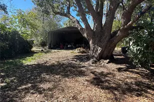 1736 W Country Club Dr, Tampa, FL 33612 - Photo 24