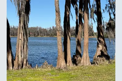20425 Gardenia Drive, Land O Lakes, FL 34638 - Photo 20