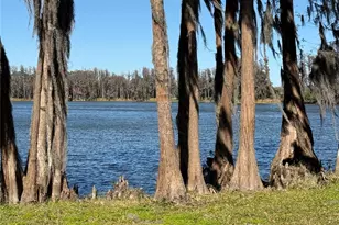 20425 Gardenia Dr, Land O Lakes, FL 34638 - Photo 20