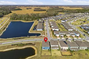 17674 Everlong Dr, Land O Lakes, FL 34638 - Photo 46