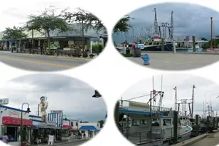 1806 Mariner Dr, Tarpon Springs, FL 34689 - Photo 40