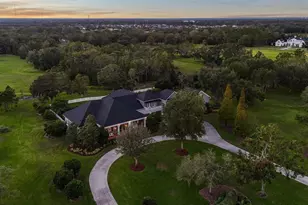 11441 Hammock Oaks Ct, Lithia, FL 33547 - Photo 2