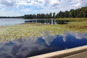 11654 Castine St, New Port Richey, FL 34654 - Photo 70