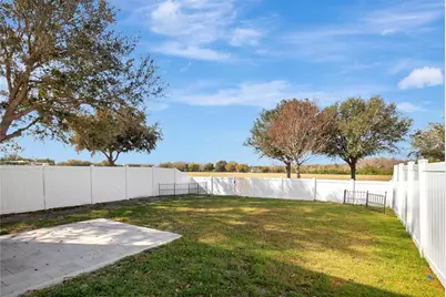 3407 Cardinal Feather Drive, Land O Lakes, FL 34638 - Photo 28