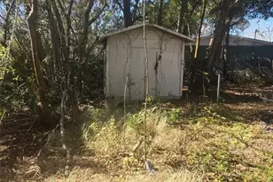 133 Dahlia Ct, Altamonte Springs, FL 32714 - Photo 16