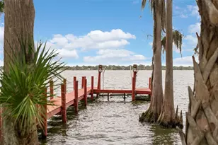 10913 Brigann Yard Way, Thonotosassa, FL 33592 - Photo 70