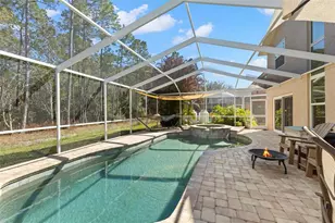 1703 Bayhill Dr, Oldsmar, FL 34677 - Photo 32