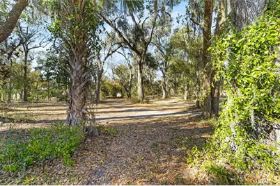 3007 Owls Nest Lane, Plant City, FL 33565 - Photo 10