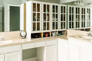 22632 Beltrees Ct, Land O Lakes, FL 34639 - Photo 30