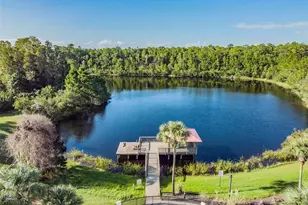 19341 Sunset Bay Dr, Land O Lakes, FL 34638 - Photo 52