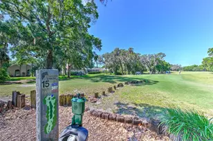 4719 Portobello Cir, Valrico, FL 33596 - Photo 32