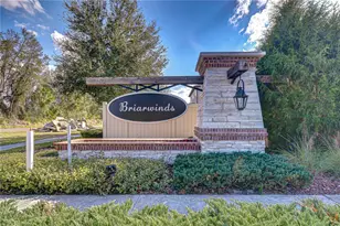 25069 Lambrusco Loop, Lutz, FL 33559 - Photo 34