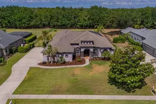 5507 Keeler Oak St, Lithia, FL 33547 - Photo 56